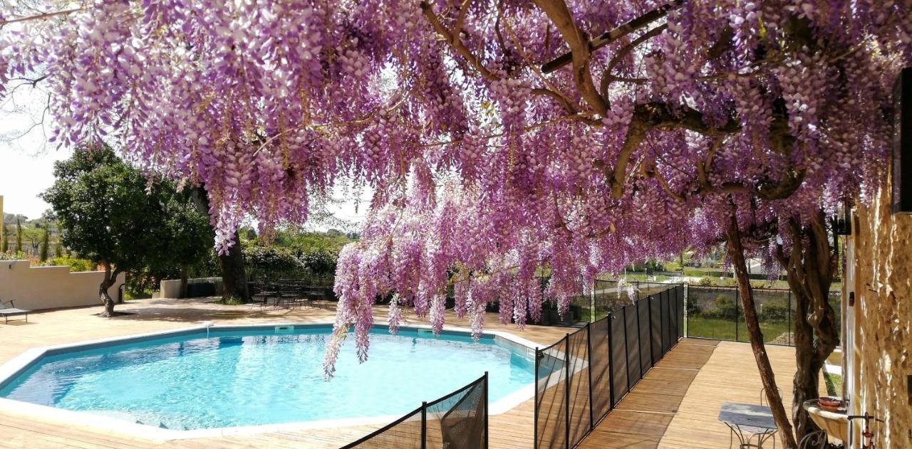Chateau Montplaisir Charming B&B In Provence Valreas Exterior photo
